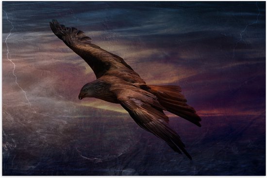 WallClassics - Poster (Mat) - Golden Eagle Vliegend - 90x60 cm Foto op Posterpapier met een Matte look