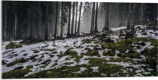 WallClassics - Acrylglas - Smalle Bomen in Bos met Kleine Beetjes Sneeuw - 100x50 cm Foto op Acrylglas (Wanddecoratie op Acrylaat)