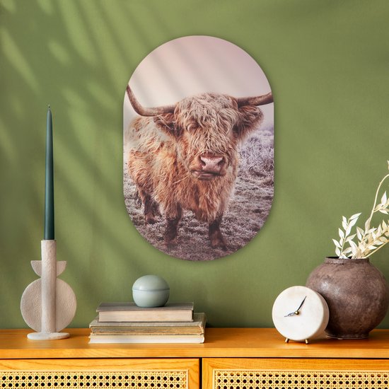 Ovale Mural - Décoration murale Plastique - Peinture Ovale - Highlanders écossais - Neige - Soleil - 40x60 cm - Forme miroir ovale sur plastique