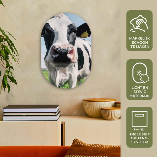 Ovale Mural - Ovale Mural - Décoration murale Plastique - Peinture Ovale - Vache - Pâturage - Nature - Animaux - Herbe - 40x60 cm - Forme Miroir Ovale sur Plastique