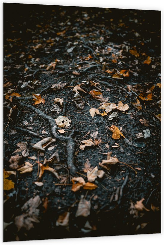 WallClassics - Dibond - Feuilles et branches d'automne - Photo sur aluminium 100x150 cm (Décoration murale en métal)