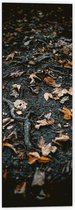 WallClassics - Dibond - Herfstbladeren en Takken - 40x120 cm Foto op Aluminium (Wanddecoratie van metaal)