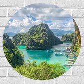 WallClassics - Muursticker Cirkel - Begroeide Rots bij Helder Water - 60x60 cm Foto op Muursticker