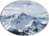 WallClassics - Dibond Ovaal - Sneeuw op Hoge Bergen - 40x30 cm Foto op Ovaal (Met Ophangsysteem)