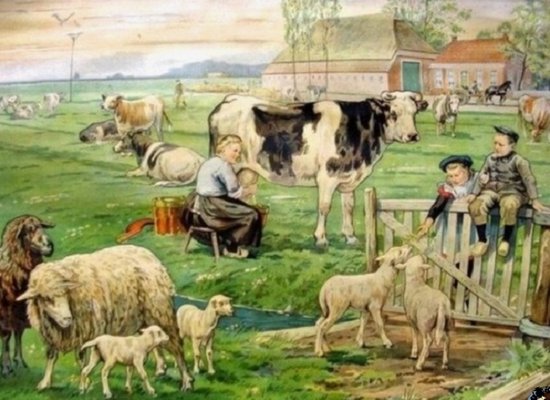 Diamond Painting Boerderij En Weiland 40 X 50 Cm Volledige Bedrukking Diamond Painting Boerderij En Weiland 40 X 50 Cm Volledige Bedrukking