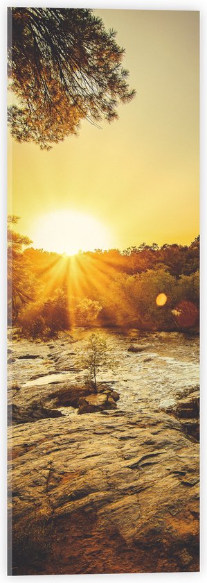 WallClassics - Verre Acrylique - Rayons de Soleil Lumineux sur Champ Vert - Photo 20x60 cm sur Verre Acrylique (Avec Système d'accrochage)