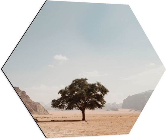 WallClassics - Dibond Hexagon - Eenzame Boom in Woestijn - 70x60.9 cm Foto op Hexagon (Met Ophangsysteem)
