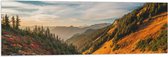 WallClassics - Vlag - North Cascades National Park - 120x40 cm Foto op Polyester Vlag