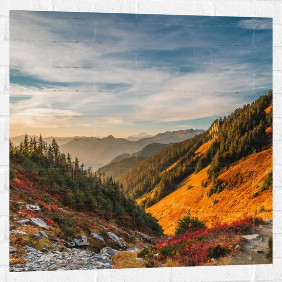 WallClassics - Muursticker - North Cascades National Park - 80x80 cm Foto op Muursticker