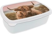 Broodtrommel Wit - Lunchbox - Brooddoos - Koe - Schotse hooglander - Dier - 18x12x6 cm - Volwassenen