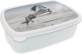Broodtrommel Wit - Lunchbox Paard - Dieren - Zand - Natuur - Brooddoos 18x12x6 cm - Brood lunch box - Broodtrommels voor kinderen en volwassenen