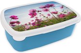 Broodtrommel Blauw - Lunchbox - Brooddoos - Bloemen - Roze - Cosmea - 18x12x6 cm - Kinderen - Jongen