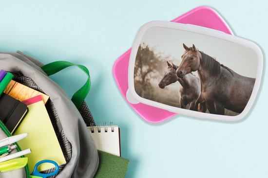 Boîte à pain Rose - Boîte à lunch - Boîte à pain - Paarden - Nature - Marron - 18x12x6 cm - Enfants - Fille - Cadeau Sinterklaas - Distribution cadeaux pour enfants - Chaussures cadeaux Sinterklaas