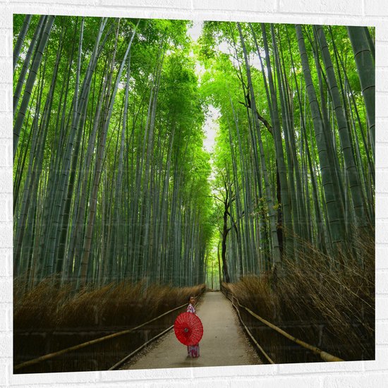 WallClassics - Muursticker - Bamboe Bomen met Japanse Paraplu - 100x100 cm Foto op Muursticker