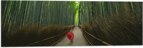 WallClassics - Vlag - Bamboe Bomen met Japanse Paraplu - 90x30 cm Foto op Polyester Vlag