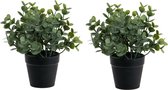 Louis Maes Eucalyptus Kunstplant - 2 stuks - in pot - groen - H20 cm