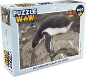 Puzzel Pinguïn - Steen - Slaap - Legpuzzel - Puzzel 1000 stukjes volwassenen