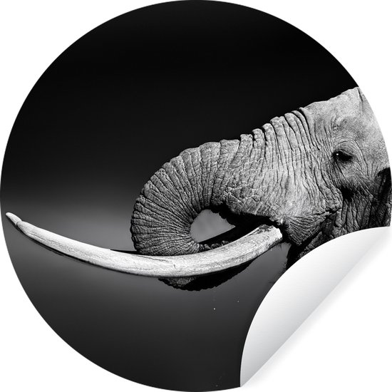 Behangcirkel - Wilde dieren - Olifant - Drinken - Zwart - Wit - ⌀ 120 cm - Zelfklevend behang - Behang rond - Behangcirkel dieren - Muurdecoratie rond