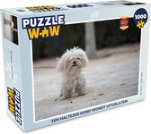 Puzzel Een Maltezer hond wordt uitgelaten - Legpuzzel - Puzzel 1000 stukjes volwassenen