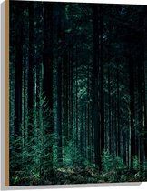 WallClassics - Hout - Donker Bos - 60x80 cm - 12 mm dik - Foto op Hout (Met Ophangsysteem)