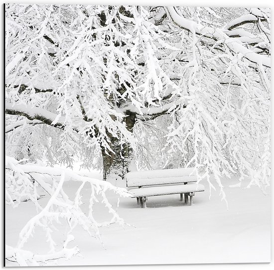 WallClassics - Dibond - Bankje met Boom Besneeuwd - 50x50 cm Foto op Aluminium (Wanddecoratie van metaal)