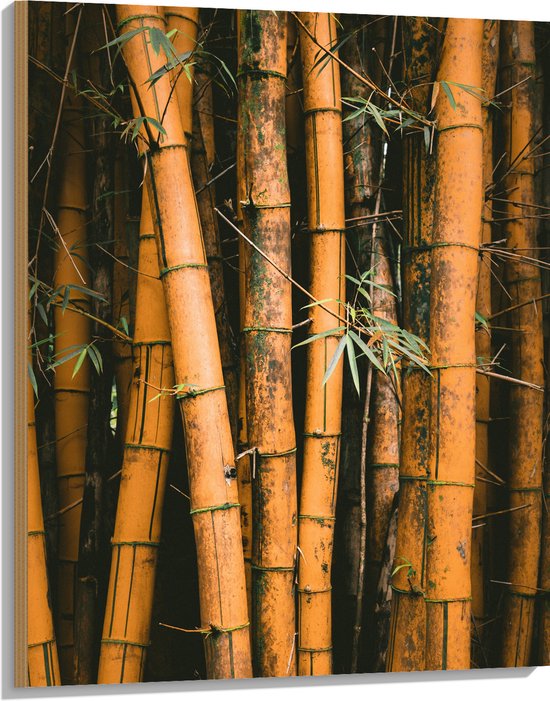 WallClassics - Hout - Bamboestammen Staand - 75x100 cm - 12 mm dik - Foto op Hout (Met Ophangsysteem)