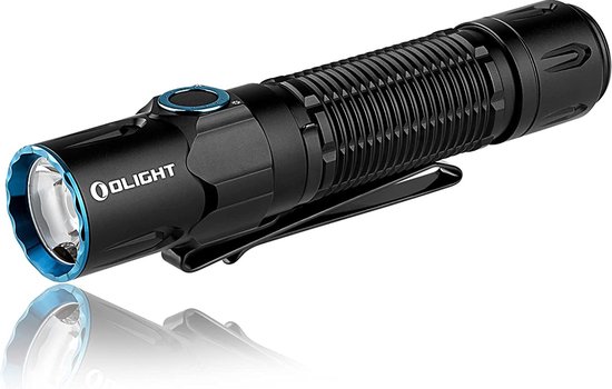 Torch camping on sale