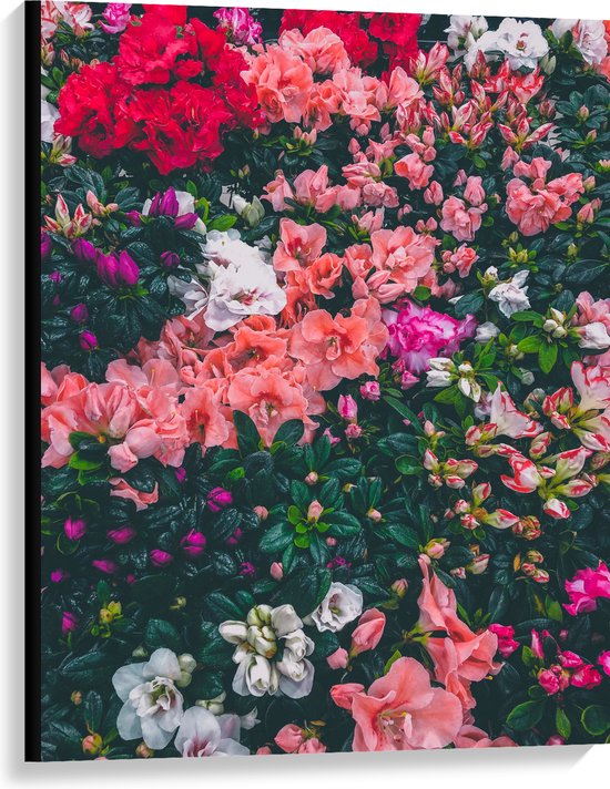 WallClassics - Canvas  - Bloemenstruik met Verschillende Roze Bloemen - 75x100 cm Foto op Canvas Schilderij (Wanddecoratie op Canvas)