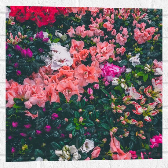 WallClassics - Muursticker - Bloemenstruik met Verschillende Roze Bloemen - 50x50 cm Foto op Muursticker