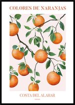 Poster Oranje Sinaasappels - Large 30x40 - Valencia - Spanje - Naranjas - Fruit en Planten - Botanische Illustratie