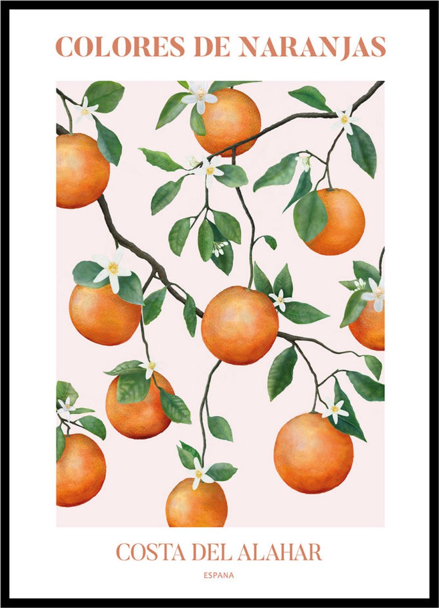 Esque Poster Oranje Sinaasappels - Large 30x40 - Valencia - Spanje - Naranjas - Fruit en Planten - Botanische Illustratie Losse Poster