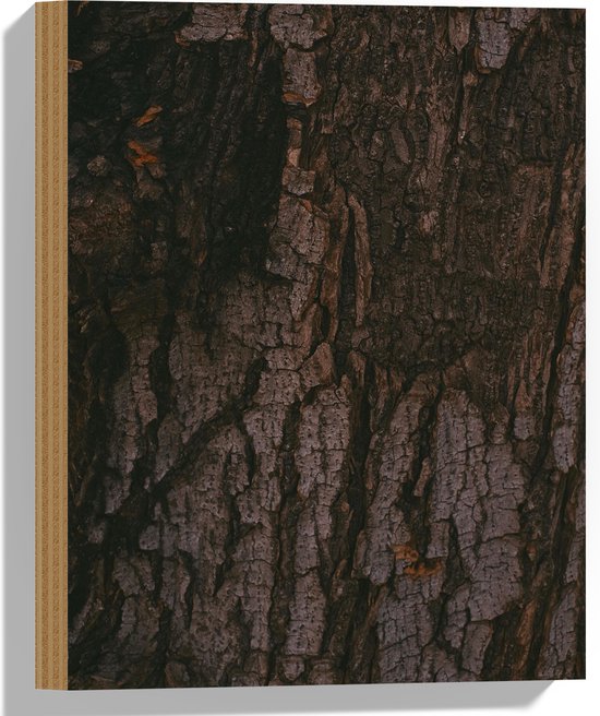 WallClassics - Hout - Boomschors - 30x40 cm - 12 mm dik - Foto op Hout (Met Ophangsysteem)