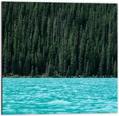 WallClassics - Dibond - Blauw Meer aan Groene Bosrand - 50x50 cm Foto op Aluminium (Met Ophangsysteem)