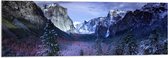WallClassics - Acrylglas - Besneeuwde Bergen met Bomen en Rotsen - 120x40 cm Foto op Acrylglas (Met Ophangsysteem)