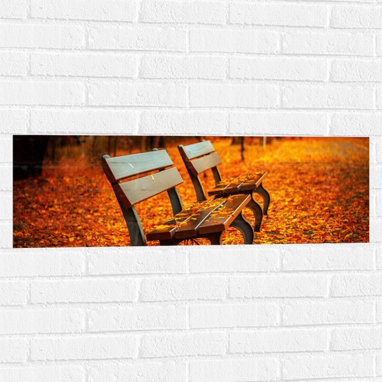 WallClassics - Muursticker - Bankjes tijdens Herfst in het Park - 90x30 cm Foto op Muursticker