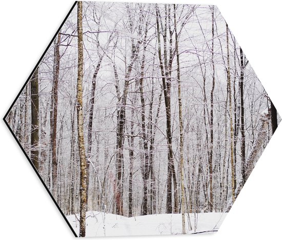 WallClassics - Dibond Hexagon - Besneeuwde Hoge Bomen - 40x34.8 cm Foto op Hexagon (Met Ophangsysteem)