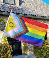 Intersex progress vlag - 90x150 - Intersex progress flag - Intersekse progress vlag