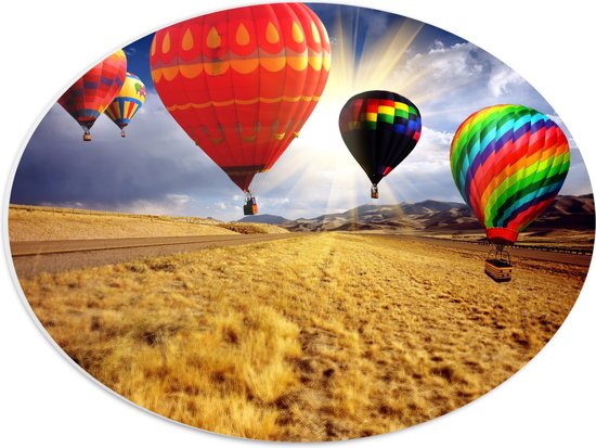 WallClassics - PVC Schuimplaat Ovaal - Close up van Vier Luchtballonnen boven Landschap - 40x30 cm Foto op Ovaal  (Met Ophangsysteem)