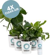 Ogreen Indoor Jungle planten pakket - Luchtzuiverend - Set van 4 stuks - Planten gifts - Kamerplanten - Cadeau - Planten Voeding - Giftbox - Geschenkset