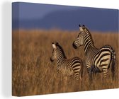 Canvas Schilderij Moeder en baby zebra - 30x20 cm - Wanddecoratie