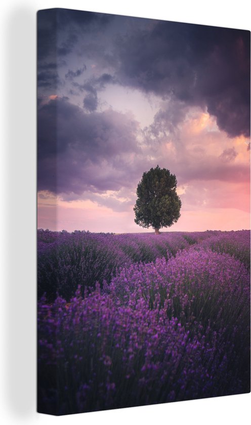 Canvas Schilderij Lavendel - Boom - Lucht - Veld - Landschap - Natuur - 40x60 cm - Wanddecoratie