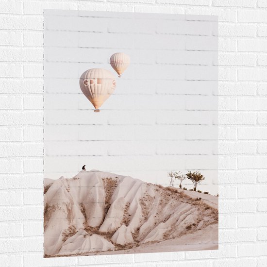WallClassics - Muursticker - Twee Beige Luchtballonnen boven Beige Landschap - 80x120 cm Foto op Muursticker