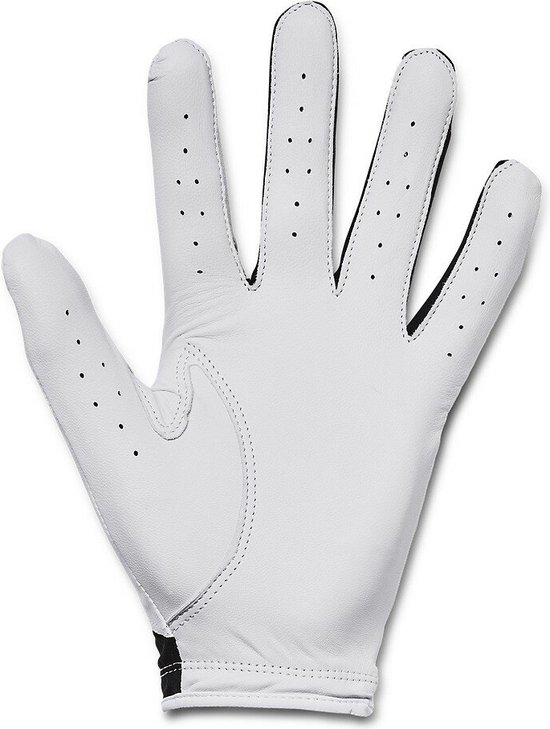 Under Armour Heren Golfhandschoen Iso Chill Rechterhandschoen (linkshandige speler) Mt. XXL van Under Armour — afbeelding 2