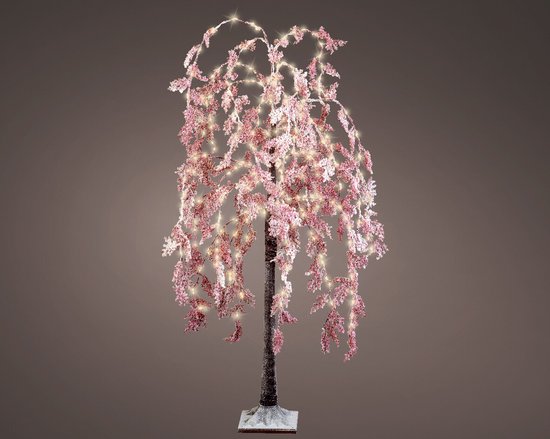 Echte kerstboom - Nordmann - 150-175 cm - met kluit