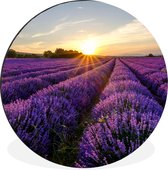 WallCircle - Wandcirkel - Muurcirkel - Lavendel - Bloemen - Zonsondergang - Paars - Aluminium - Dibond - ⌀ 90 cm - Binnen en Buiten