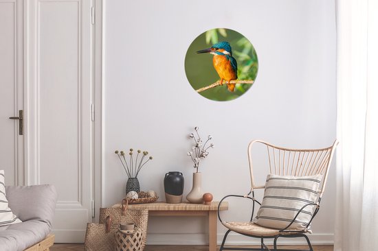 Cercle mural - Cercle mural - Vogel - Martin pêcheur - Branche - Feuilles - Plastique - 30x30 cm - Tableaux ronds - Décoration murale ronde - Cercle mural animaux
