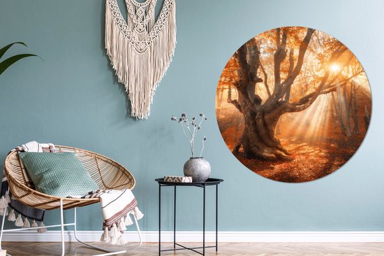 WallCircle - Wall Circle - Wall Circle Indoor - Arbre - Nature - Automne - 150x150 cm - Décoration murale - Peintures Ronds
