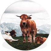 WallCircle - Wall Circle - Wall Circle Indoor - Animaux - Vache - Berg - 60x60 cm - Décoration murale - Peintures Ronds