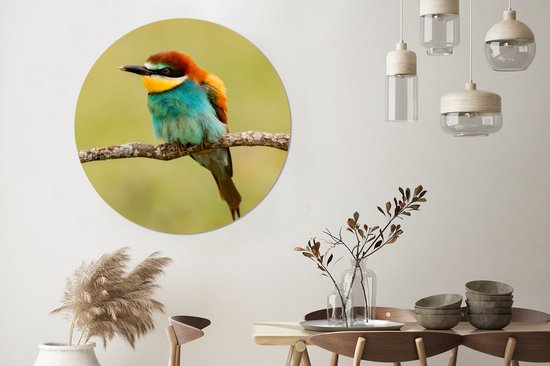 Cercle Mural - Cercle Mural - Vogel - Guêpier - Animaux - Aluminium - Dibond - 140x140 cm - Intérieur et Extérieur