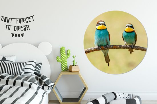 WallCircle - Cercle mural - Vogels - Animaux - Guêpier - Aluminium - Dibond - ⌀ 120 cm - Intérieur et extérieur XXL